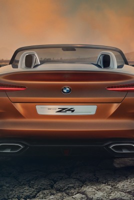 bmw z4 кабриолет вид сзади