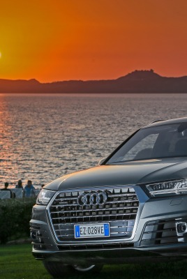 audi море закат лужайка металлик