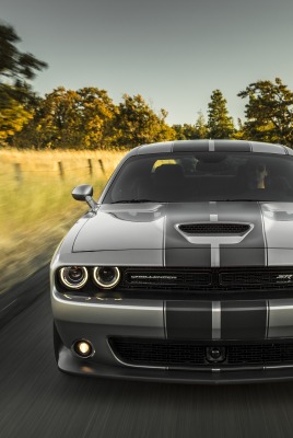 dodge challenger вид спереди дорога деревья скорость