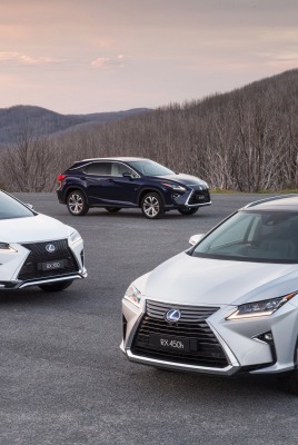 lexus rx дорога деревья горы