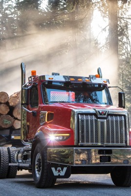лесовоз грузовик дрова