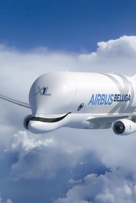 airbus самолет beluga полет