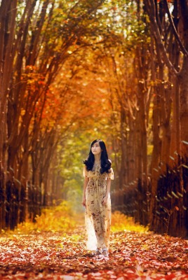 природа осень деревья девушка листья
