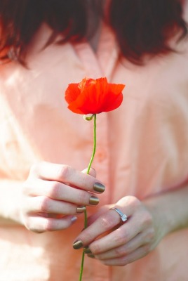 девушка руки мак цветок
