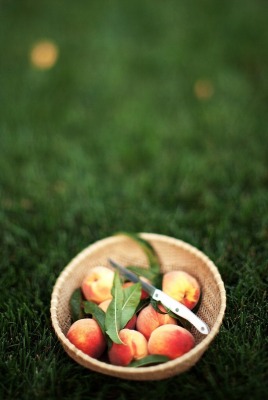 Персики в миске