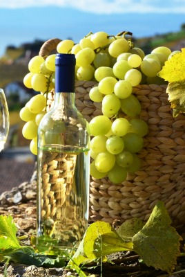Виноград вино урожай