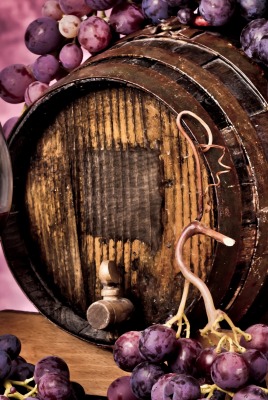 Вино виноград бочка