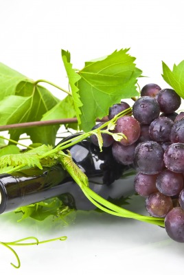 Виноград вино гроздь ветка