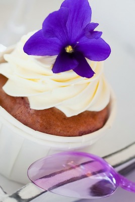 еда пирожное цветок food cake flower