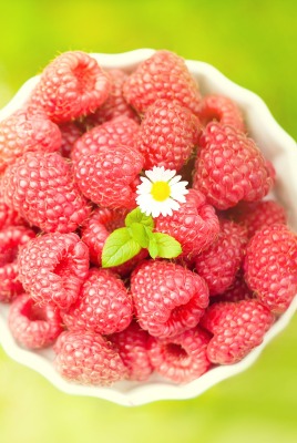 еда малина природа food raspberry nature