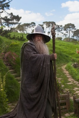 The Hobbit, An Unexpected Journey Колдун