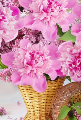 Букет ваза цветы Bouquet vase flowers
