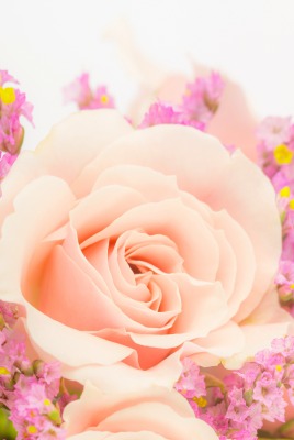 роза бутон персиковый букет