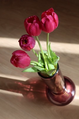 тюльпаны ваза цветы