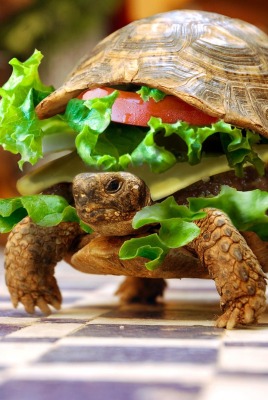Черпаха-бутерброд