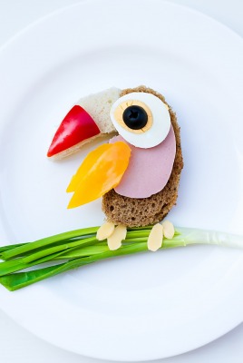 фигурка еда завтрак птица тукан