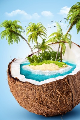 Остров в кокосе