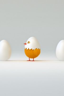 Яйца и цыпленок