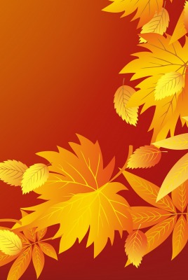 графика иллюстрация листья природа осень