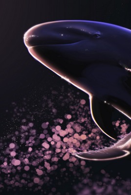 кит рисунок частицы