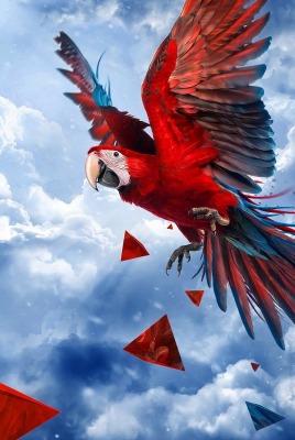 попугай облака ара красный