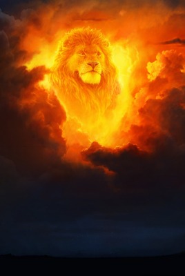 лев огонь облака тучи желтый