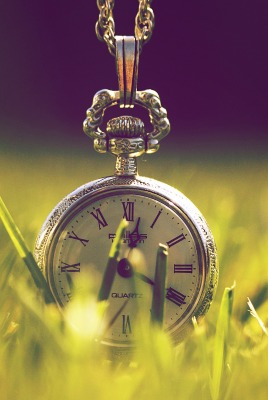 Карманные часы в траве