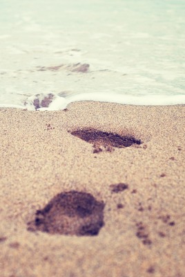 следы на морском песке