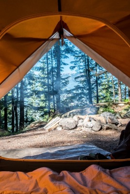 палатка отдых лес