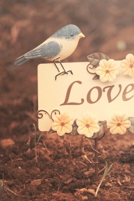 любовь птица надпись открытка