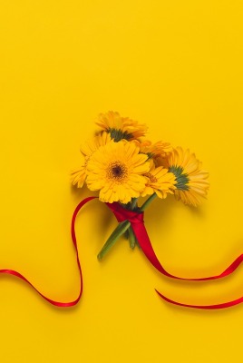 минимализм цветы лента желтый фон