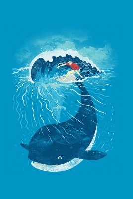 кит минимализм рисунок арт серфингист