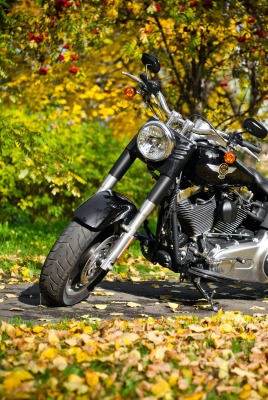 мотоцикл осень дорожка