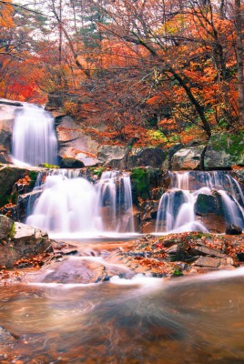осень листья водопад речка