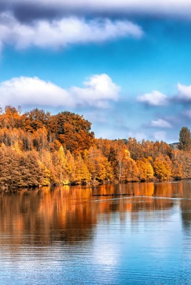 река осень лес