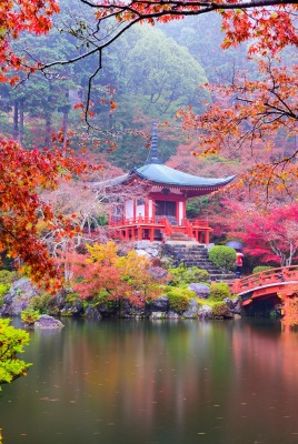 япония осень водоем деревья ветви