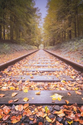 железная дорога осенние листья лес рельсы осень
