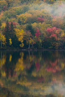 осень листва деревья озеро отражение в воде
