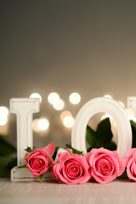 love цветы flower розы День Святого Валентина Valentines day