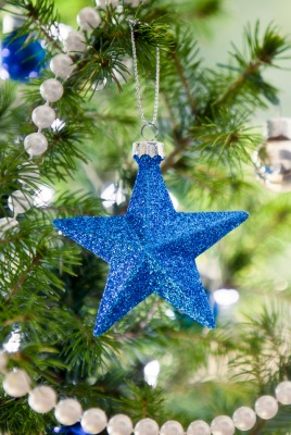 Ель украшения звезда Spruce decoration star