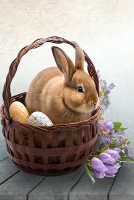 кролик корзина яйца цветы пасха