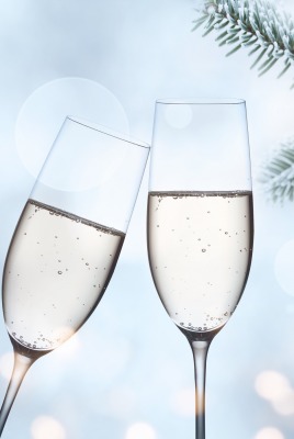 шампанское бокалы новый год ель ветка