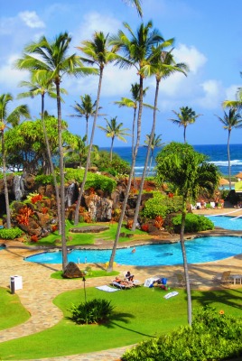 природа деревья бассейн отдых море горизонт дом nature trees pool the rest sea horizon house