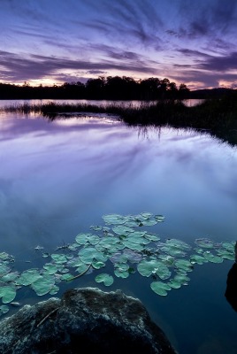 Сиреневый закат над озером