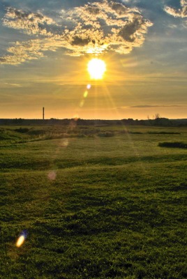 Солнце перед закатом на поле