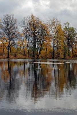 Осенний водоем