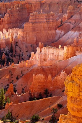 Ярко красные скалы в каньоне
