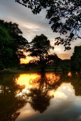 Закат озеро деревья