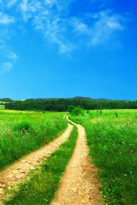 Дорога через зеленое поле