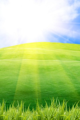 Солнце и трава